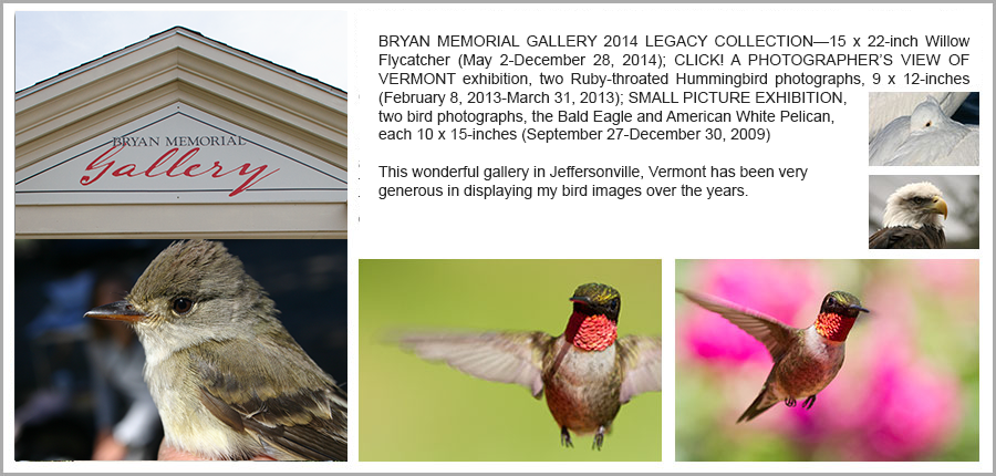 Bryan Memorial Gallery