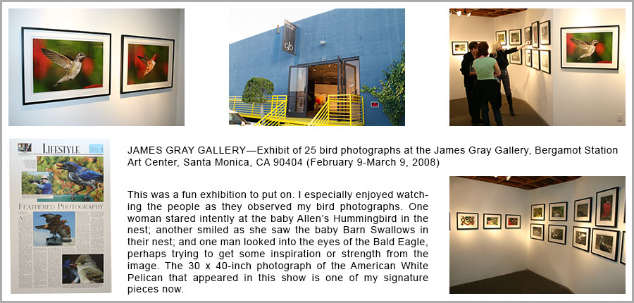 JNA Gallery