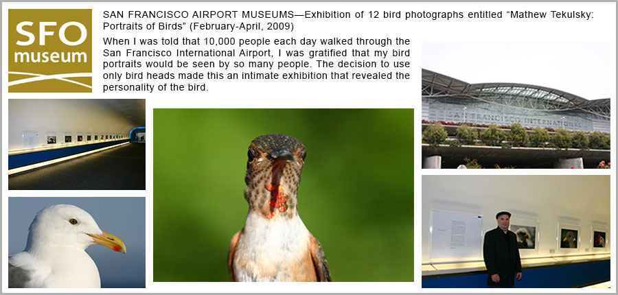 SFO Museum